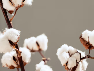 Earth's first synthetic garment still in existence!